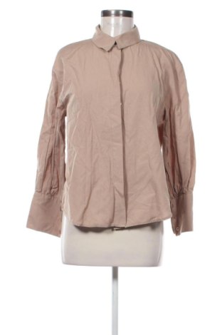 Damenbluse Trendyol, Größe M, Farbe Braun, Preis € 20,91