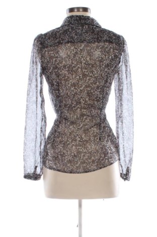 Damenbluse WE, Größe S, Farbe Mehrfarbig, Preis € 14,99