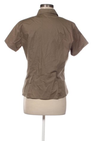 Damska koszula Zagora, Rozmiar M, Kolor Brązowy, Cena 30,99 zł