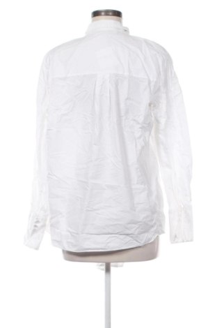 Damenbluse Zara, Größe S, Farbe Weiß, Preis € 18,99