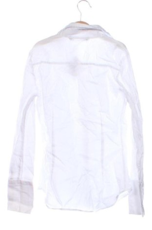 Damenbluse Zara, Größe XS, Farbe Weiß, Preis € 18,99