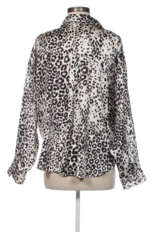 Damenbluse Zara, Größe XXL, Farbe Mehrfarbig, Preis € 17,99