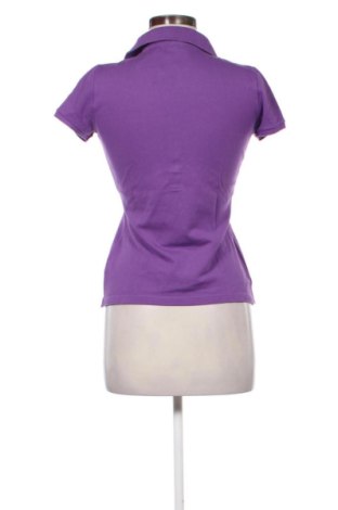 Damen T-Shirt Lacoste, Größe S, Farbe Lila, Preis 36,99 €