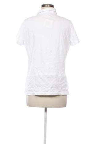 Damen T-Shirt Le Comte, Größe L, Farbe Mehrfarbig, Preis 27,99 €