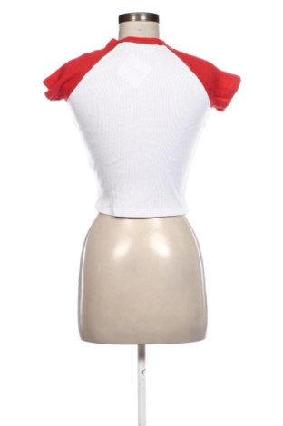 Damen T-Shirt Terranova, Größe S, Farbe Weiß, Preis € 6,74