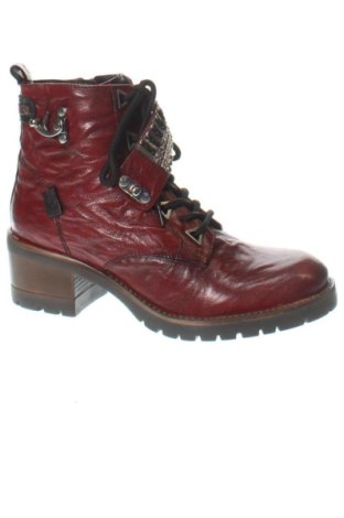 Γυναικεία μποτάκια Studio M, Μέγεθος 38, Χρώμα Πολύχρωμο, Τιμή 86,99 €