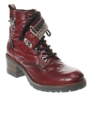 Γυναικεία μποτάκια Studio M, Μέγεθος 38, Χρώμα Πολύχρωμο, Τιμή 86,99 €