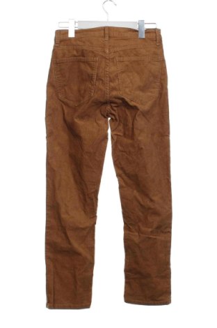 Damskie sztruksy Gap, Rozmiar S, Kolor Brązowy, Cena 91,09 zł