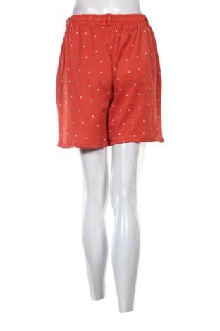 Damen Shorts Gina Benotti, Größe M, Farbe Mehrfarbig, Preis € 8,21