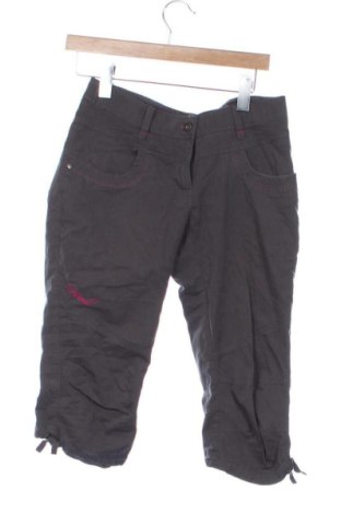 Damskie szorty Hannah, Rozmiar M, Kolor Szary, Cena 42,91 zł