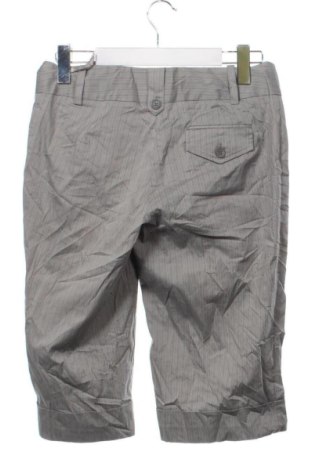 Damskie szorty Mexx, Rozmiar M, Kolor Szary, Cena 37,99 zł