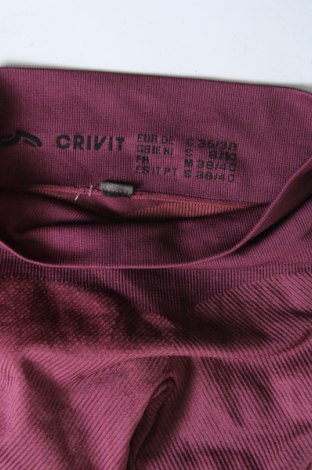 Damen Leggings Crivit, Größe S, Farbe Mehrfarbig, Preis 17,99 €