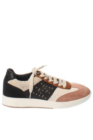 Damenschuhe Geox, Größe 39, Farbe Mehrfarbig, Preis € 137,99