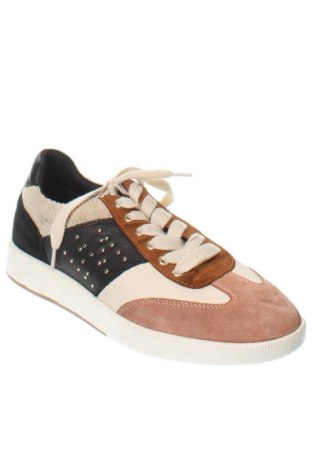 Damenschuhe Geox, Größe 39, Farbe Mehrfarbig, Preis € 137,99