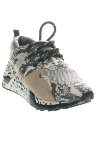 Dámske topánky  Steve Madden, Veľkosť 37, Farba Viacfarebná, Cena  66,50 €
