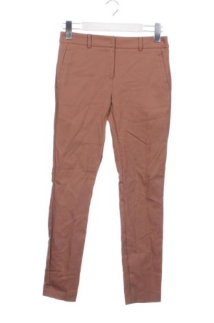 Damskie spodnie Forever New, Rozmiar XS, Kolor Popielaty róż, Cena 166,99 zł