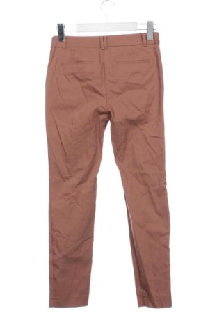 Damskie spodnie Forever New, Rozmiar XS, Kolor Popielaty róż, Cena 166,99 zł