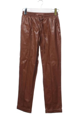 Damskie spodnie Motivi, Rozmiar XXS, Kolor Brązowy, Cena 134,99 zł