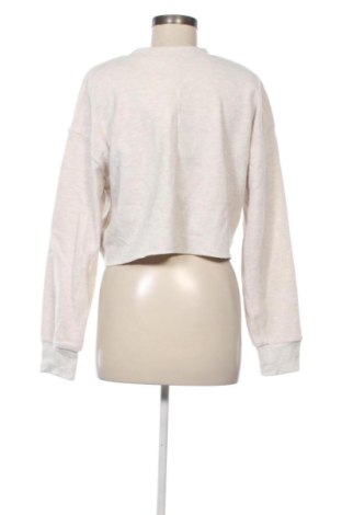 Damenpullover Zara, Größe XL, Farbe Beige, Preis € 24,99