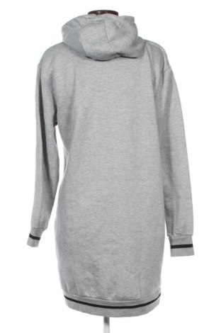 Damen Sweatshirt Crivit, Größe L, Farbe Grau, Preis € 19,99