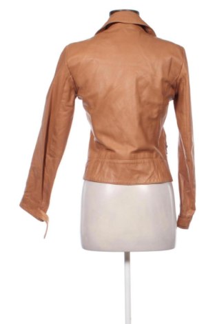 Damen Lederjacke Massimo Dutti, Größe S, Farbe Beige, Preis 117,97 €