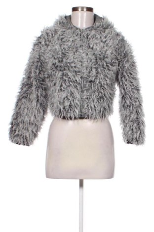 Damenjacke Clockhouse, Größe S, Farbe Grau, Preis 25,00 €