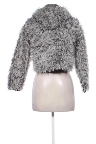 Damenjacke Clockhouse, Größe S, Farbe Grau, Preis 25,00 €