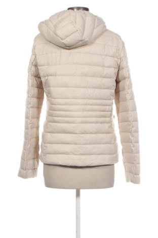 Damenjacke Esmara, Größe S, Farbe Ecru, Preis € 11,99