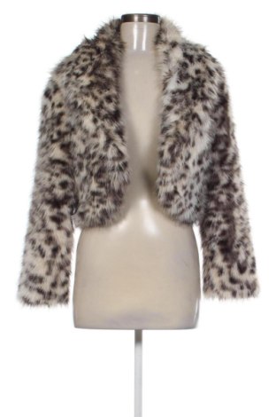 Damenjacke New Look, Größe XS, Farbe Mehrfarbig, Preis € 30,99