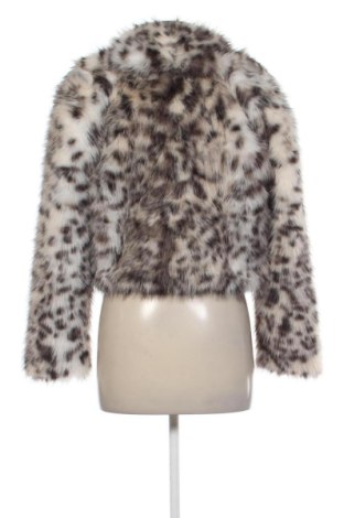 Damenjacke New Look, Größe XS, Farbe Mehrfarbig, Preis € 30,99