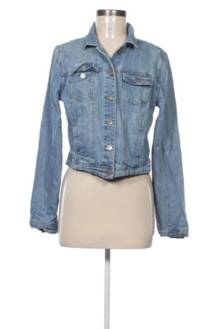 Kurtka damska New Look, Rozmiar M, Kolor Niebieski, Cena 104,99 zł