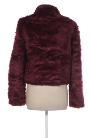 Dámska bunda  Sportsgirl, Veľkosť S, Farba Červená, Cena  14,95 €