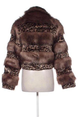 Damenjacke Unbranded, Größe S, Farbe Mehrfarbig, Preis € 30,00