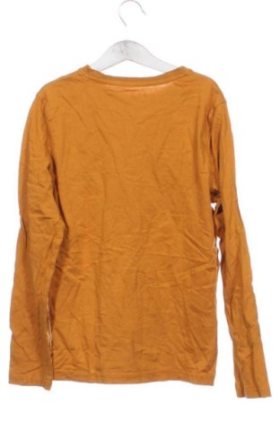 Kinder Shirt C&A, Größe 10-11y/ 146-152 cm, Farbe Orange, Preis 4,99 €
