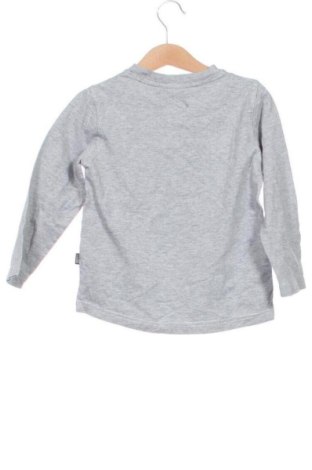 Kinder Shirt Looney Tunes, Größe 4-5y/ 110-116 cm, Farbe Grau, Preis 7,99 €