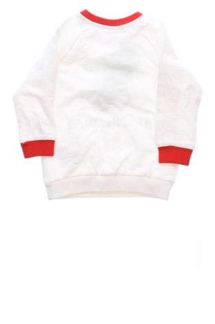 Dziecięca bluzka Pepco, Rozmiar 12-18m/ 80-86 cm, Kolor Kolorowy, Cena 48,23 zł