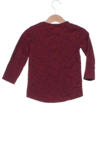 Dětská halenka  Topomini, Velikost 12-18m/ 80-86 cm, Barva Vícebarevné, Cena  170,00 Kč