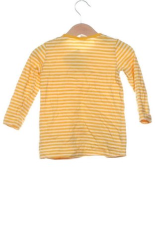 Dětská halenka  Unbranded, Velikost 12-18m/ 80-86 cm, Barva Vícebarevné, Cena  170,00 Kč