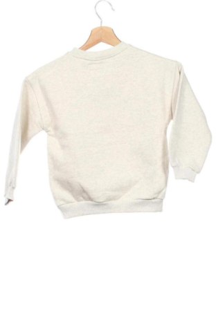 Dětská halenka  Zara, Velikost 4-5y/ 110-116 cm, Barva Šedá, Cena  227,00 Kč