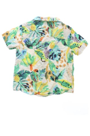 Dziecięca koszula Next, Rozmiar 1-2m/ 50-56 cm, Kolor Kolorowy, Cena 58,99 zł