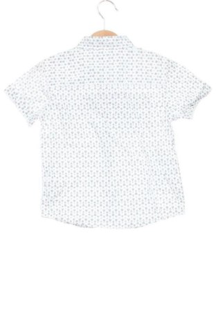 Dziecięca koszula Piazza Italia, Rozmiar 3-4y/ 104-110 cm, Kolor Kolorowy, Cena 25,99 zł