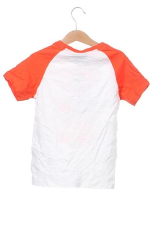 Tricou pentru copii Cn, Mărime 5-6y/ 116-122 cm, Culoare Multicolor, Preț 31,99 Lei