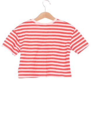 Tricou pentru copii Primark, Mărime 4-5y/ 110-116 cm, Culoare Multicolor, Preț 27,24 Lei