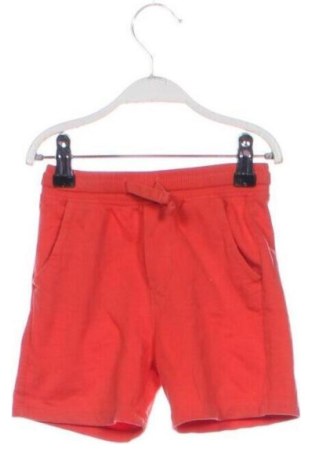Gyerek rövidnadrág Fagottino By Oviesse, Méret 18-24m / 86-98 cm, Szín Piros, Ár 2 479 Ft