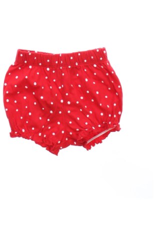 Παιδικό κοντό παντελόνι LCW, Μέγεθος 3-6m/ 62-68 εκ., Χρώμα Πολύχρωμο, Τιμή 3,50 €