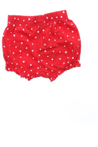 Παιδικό κοντό παντελόνι LCW, Μέγεθος 3-6m/ 62-68 εκ., Χρώμα Πολύχρωμο, Τιμή 3,50 €