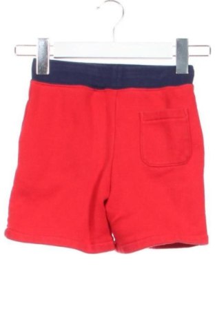 Dziecięce szorty Polo Ralph Lauren, Rozmiar 5-6y/ 116-122 cm, Kolor Czerwony, Cena 74,99 zł