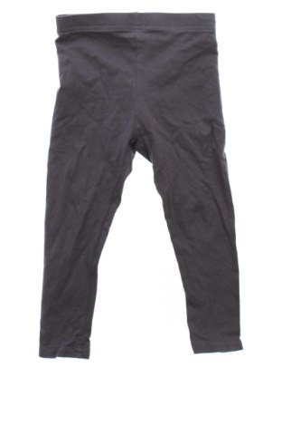 Dziecięce legginsy Sinsay, Rozmiar 18-24m/ 86-98 cm, Kolor Szary, Cena 34,99 zł