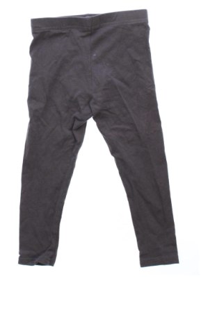 Dziecięce legginsy Sinsay, Rozmiar 18-24m/ 86-98 cm, Kolor Szary, Cena 34,99 zł