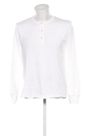 Herren Shirt Zara, Größe L, Farbe Weiß, Preis 13,99 €
